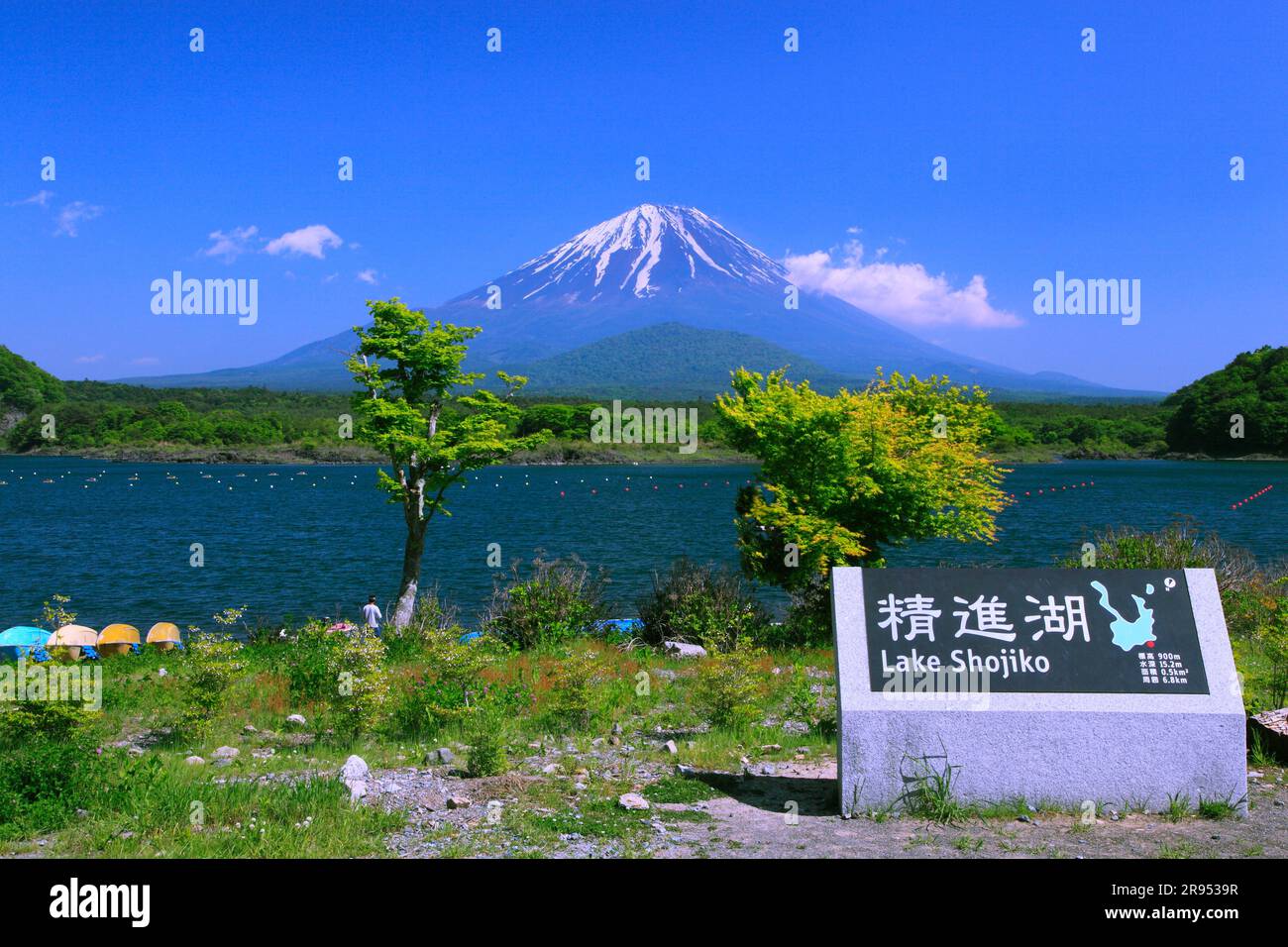 Fuji et le lac Shoji Banque D'Images