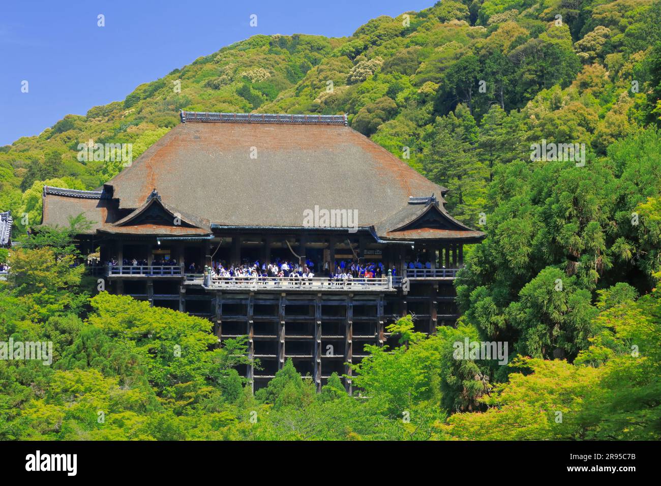 Temple Kiyomizu en vert frais Banque D'Images