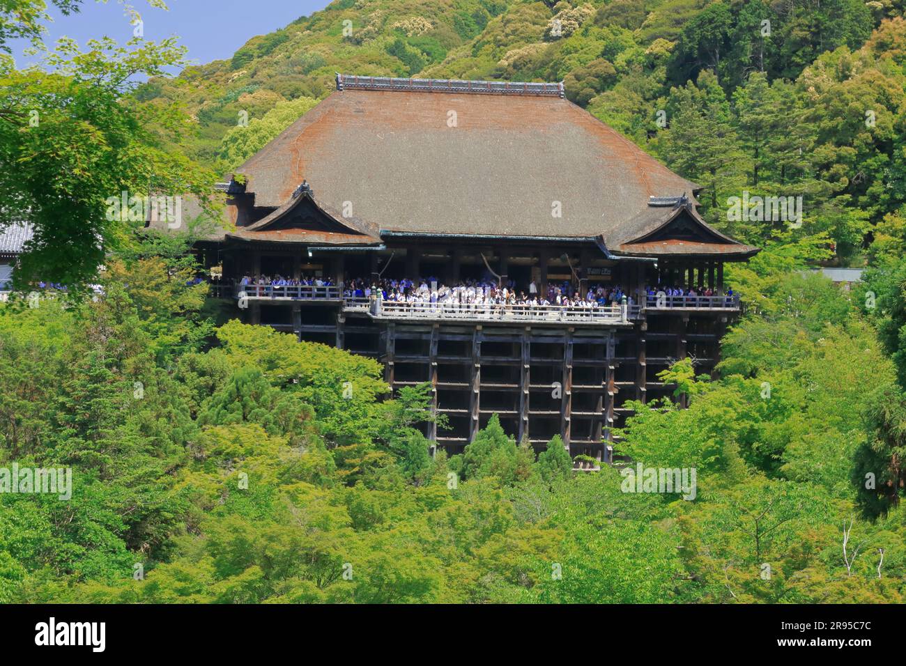 Temple Kiyomizu en vert frais Banque D'Images