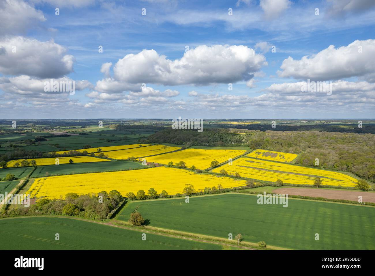 Vue aérienne des champs de viol dans le Warwickshire Royaume-Uni. Banque D'Images