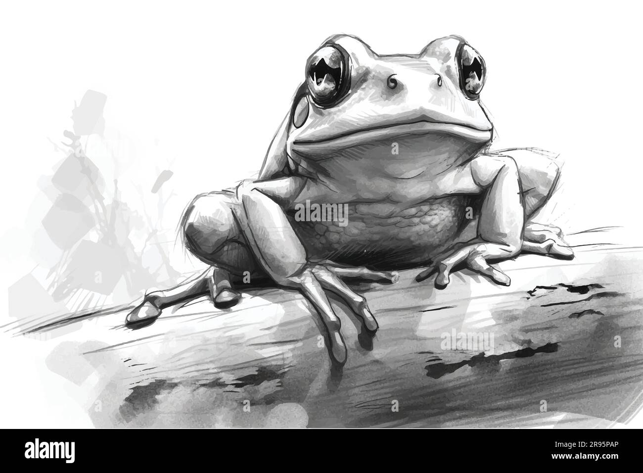 Illustration vectorielle de l'esquisse Frog Illustration de Vecteur
