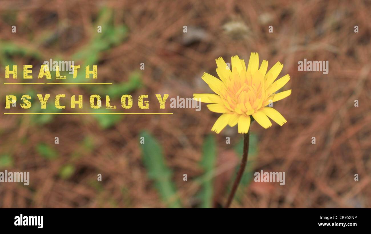 Une phrase sur la psychologie de la santé a été rédigée. Fond de fleur jaune Banque D'Images