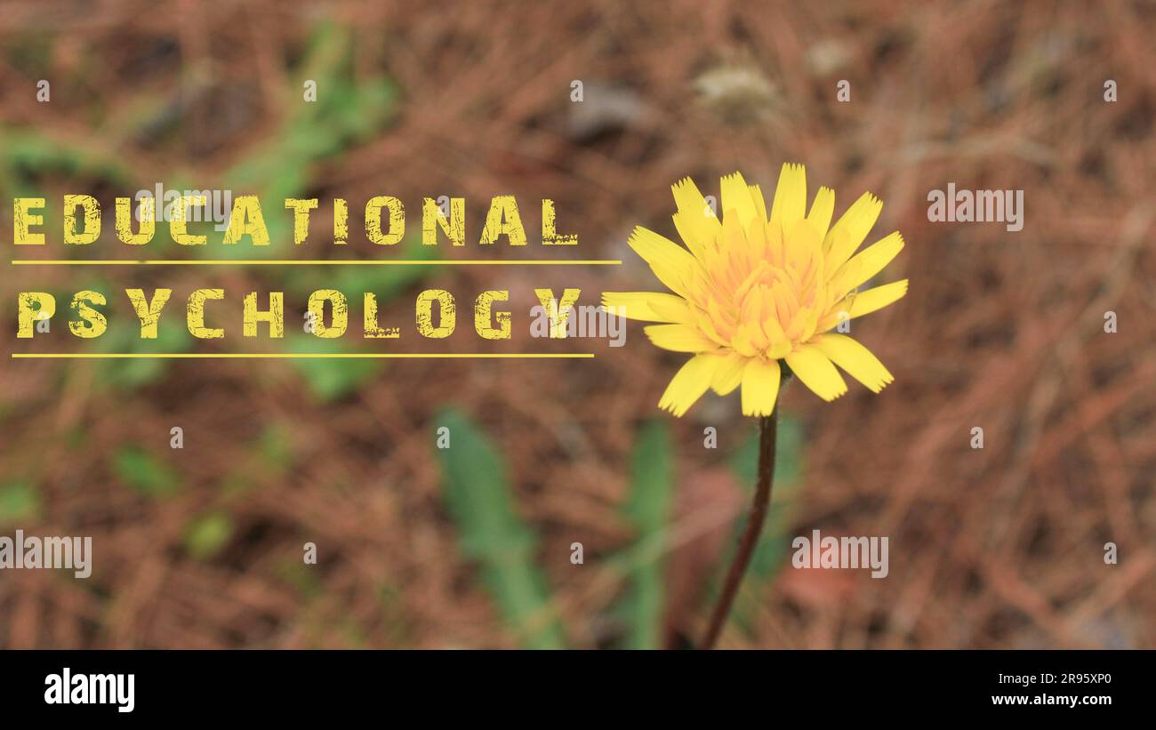 Une phrase de psychologie éducative a été rédigée. Fond de fleur jaune. Banque D'Images
