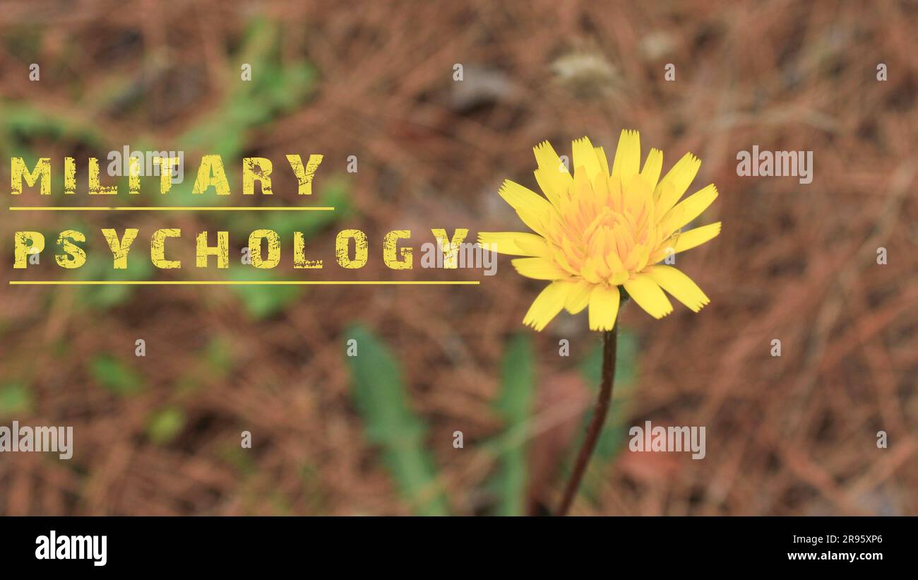 Une phrase de psychologie militaire a été rédigée. Fond de fleur jaune. Banque D'Images