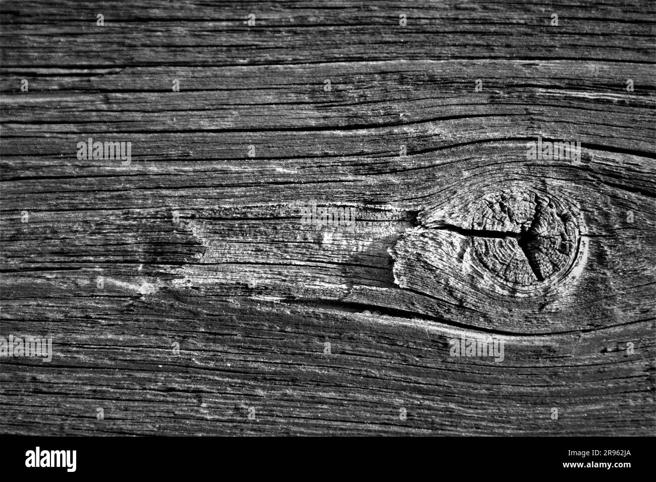Ancien panneau gris fissuré. Structure en bois. Gros plan en noir et blanc. Banque D'Images