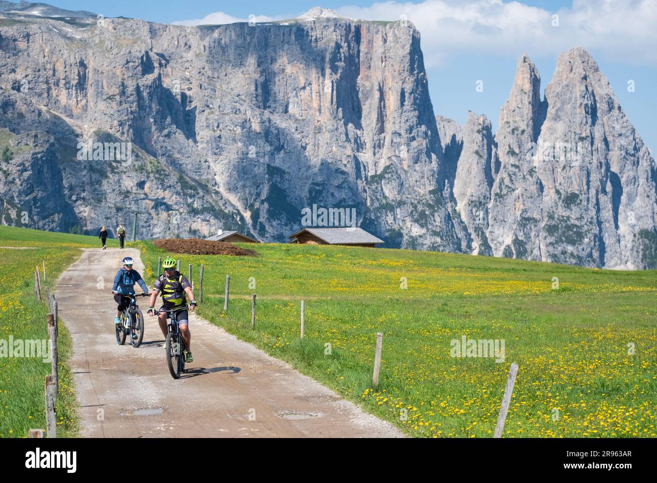 Seiser Alm, Italie - 15 juin 2023: Les gens font du vélo à Alpe di Siusi ou à Seiser Alm avec la montagne Schlern en arrière-plan. Banque D'Images