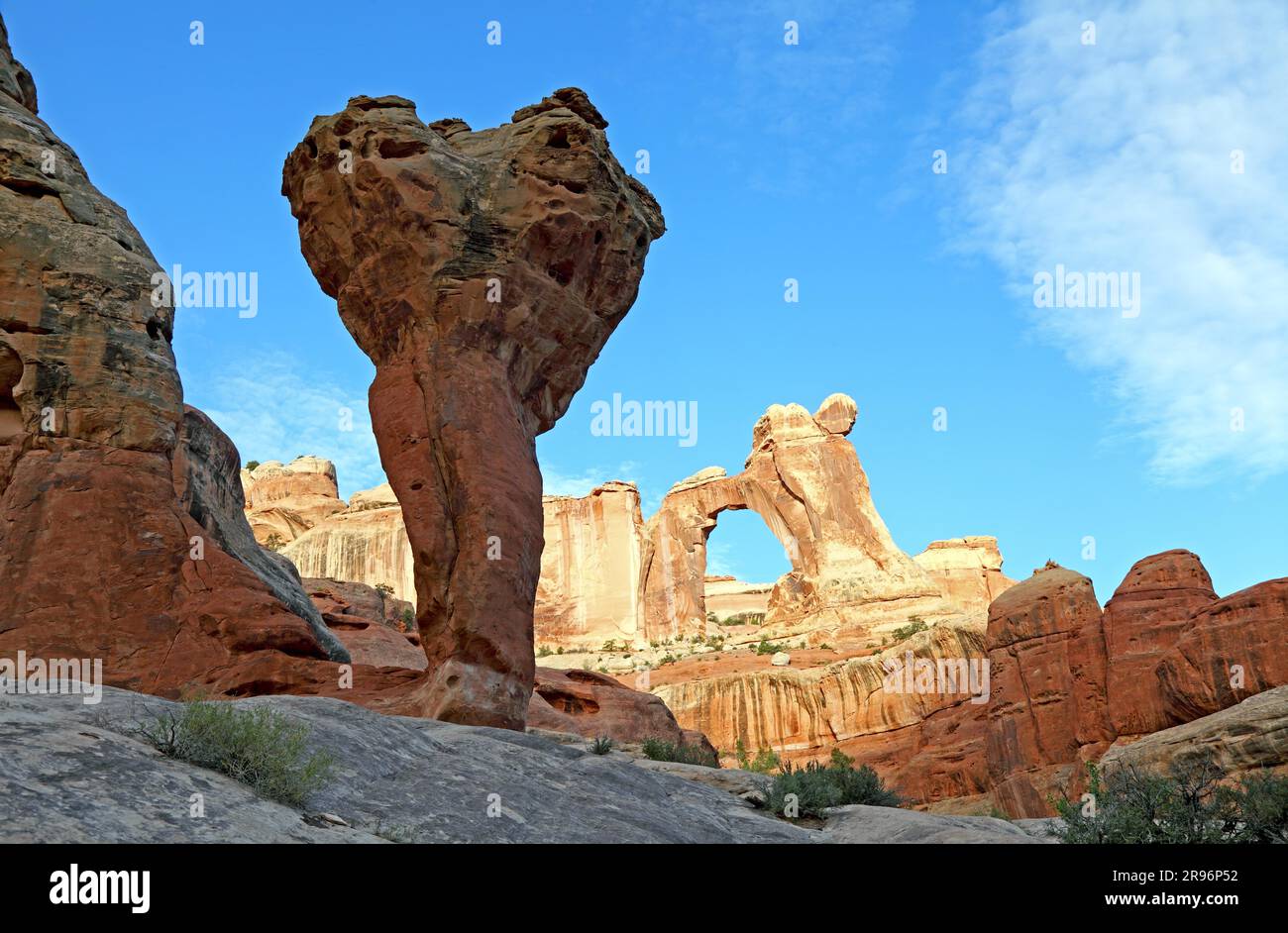 Angel Arch, Molar, Salt Creek, Parc national de Canyonlands, Needles District, Utah, États-Unis Banque D'Images