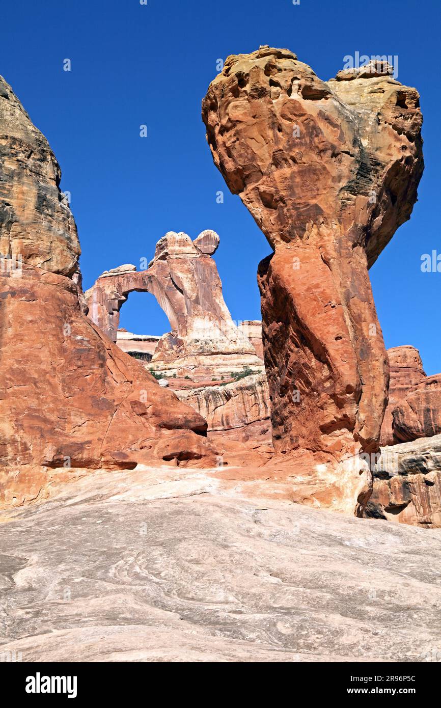 Angel Arch, Molar, Salt Creek, Parc national de Canyonlands, Needles District, Utah, États-Unis Banque D'Images