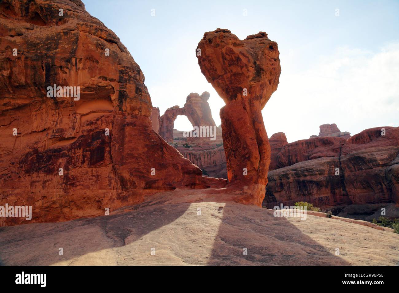 Angel Arch, Molar, Salt Creek, Parc national de Canyonlands, Needles District, Utah, États-Unis Banque D'Images