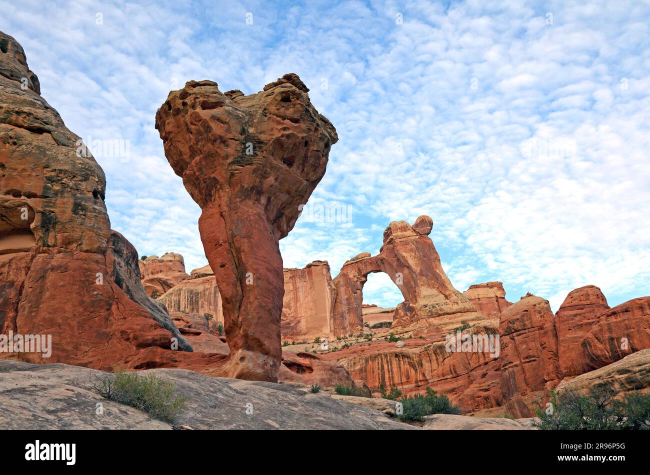 Angel Arch, Molar, Salt Creek, Parc national de Canyonlands, Needles District, Utah, États-Unis Banque D'Images