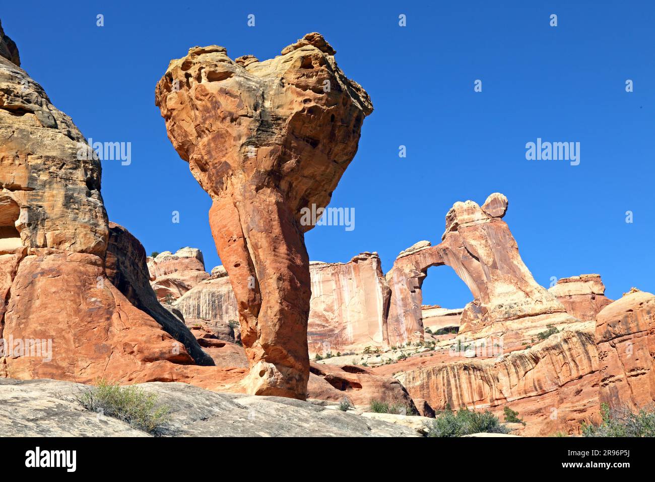 Angel Arch, Molar, Salt Creek, Parc national de Canyonlands, Needles District, Utah, États-Unis Banque D'Images