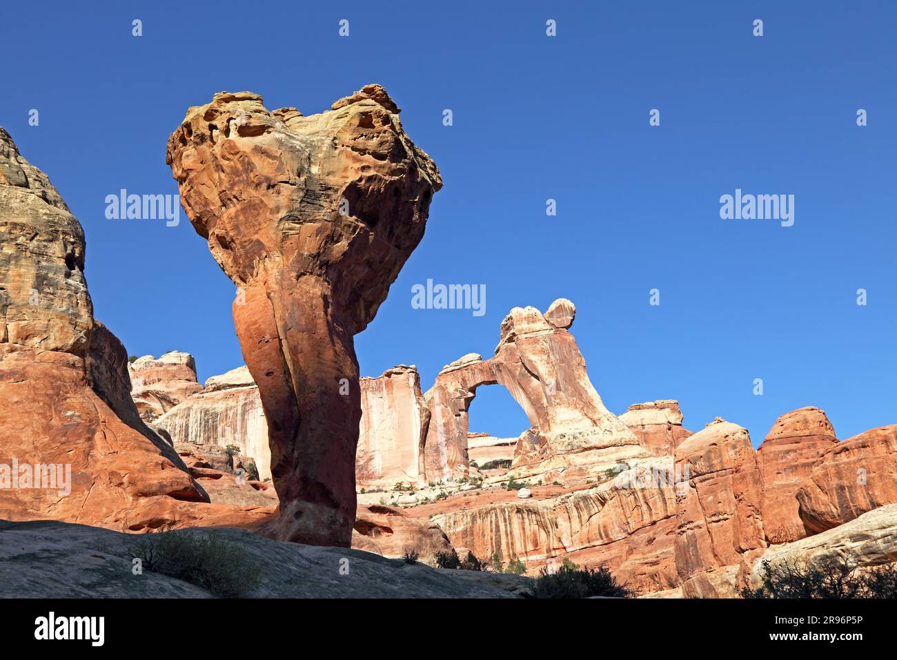 Angel Arch, Molar, Salt Creek, Parc national de Canyonlands, Needles District, Utah, États-Unis Banque D'Images