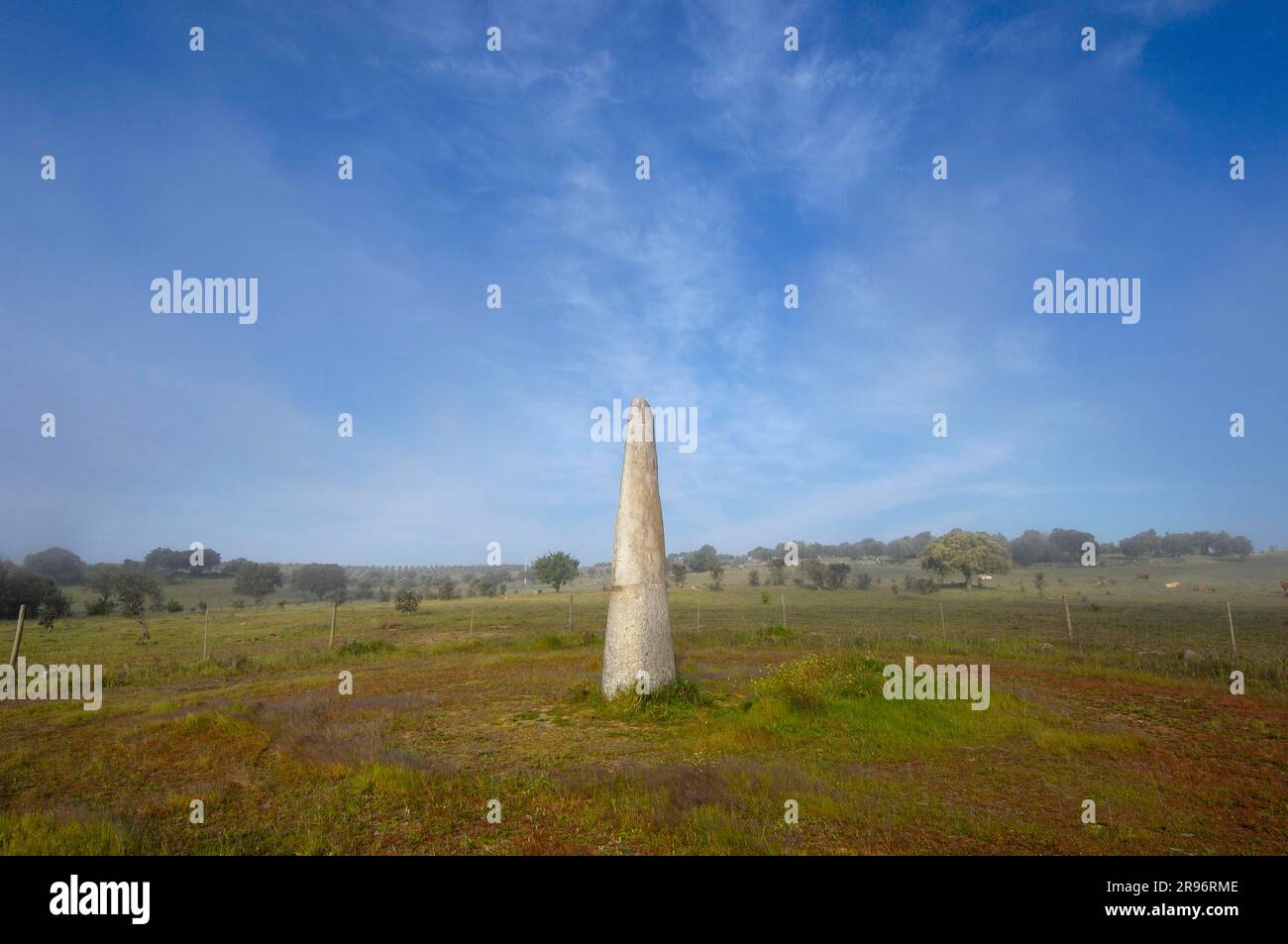 Monument national, Menhir de Bulhoa, près de Monsaraz, Alentejo, Portugal, Mégalith Banque D'Images