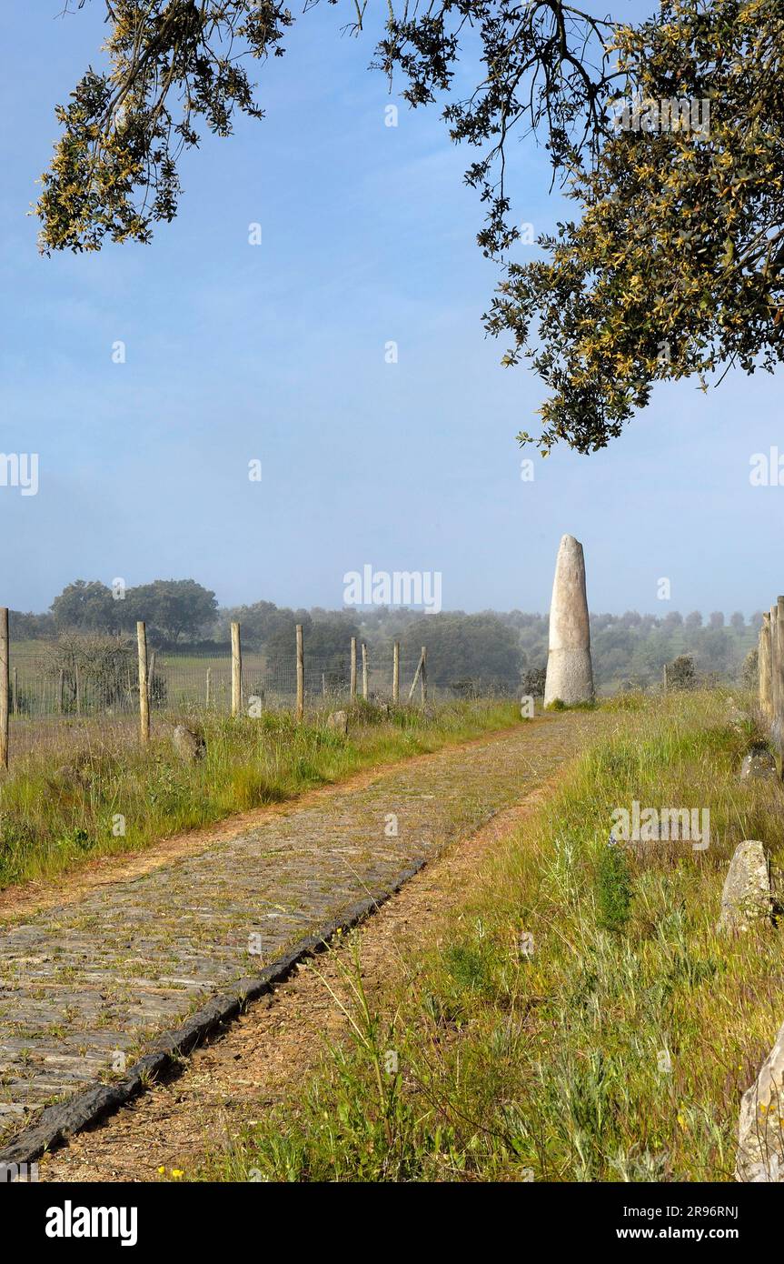 Monument national, Menhir de Bulhoa, près de Monsaraz, Alentejo, Portugal, Mégalith Banque D'Images