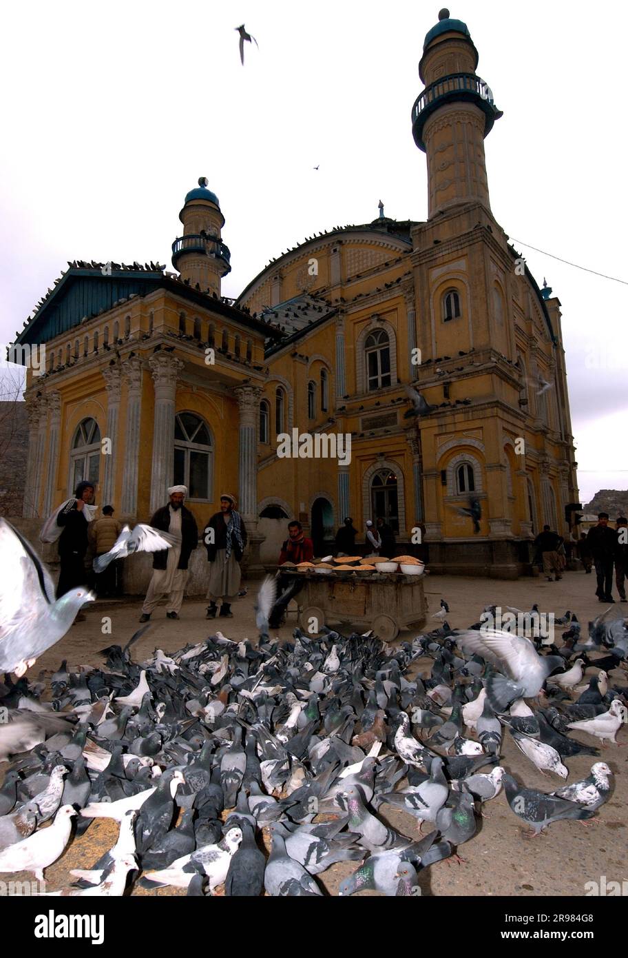 Troupeau de pigeons à l'extérieur de la mosquée Shah-e-do Shamsera à Kaboul, en Afghanistan Banque D'Images