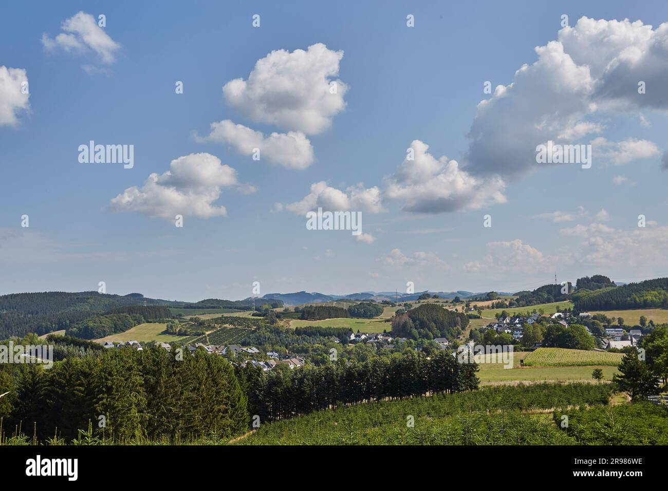 Wanderung rund UM Cobbenrode, Eslohe, Sauerland, Hochsauerlandkreis, NRW, Deutschland, Europa - Banque D'Images