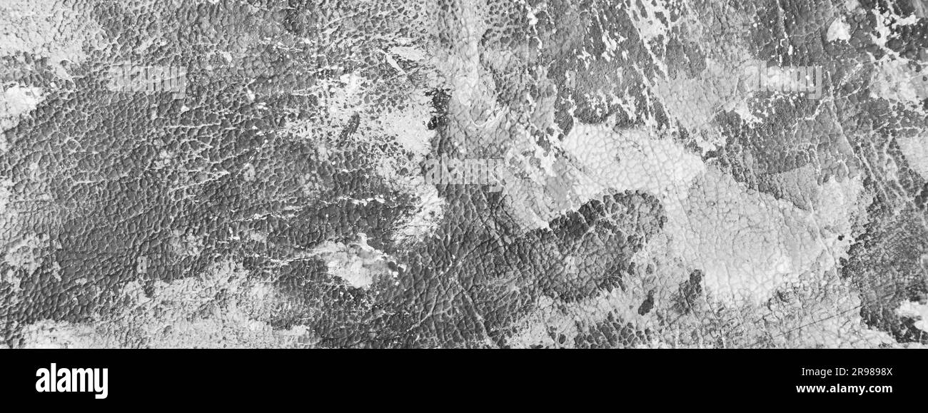 Arrière-plan avec contours abstraits Banque D'Images