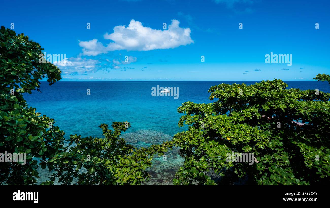 Un paysage de plage tranquille avec des arbustes luxuriants, et de l'eau bleu cristal à Steward Island, Fidji Banque D'Images