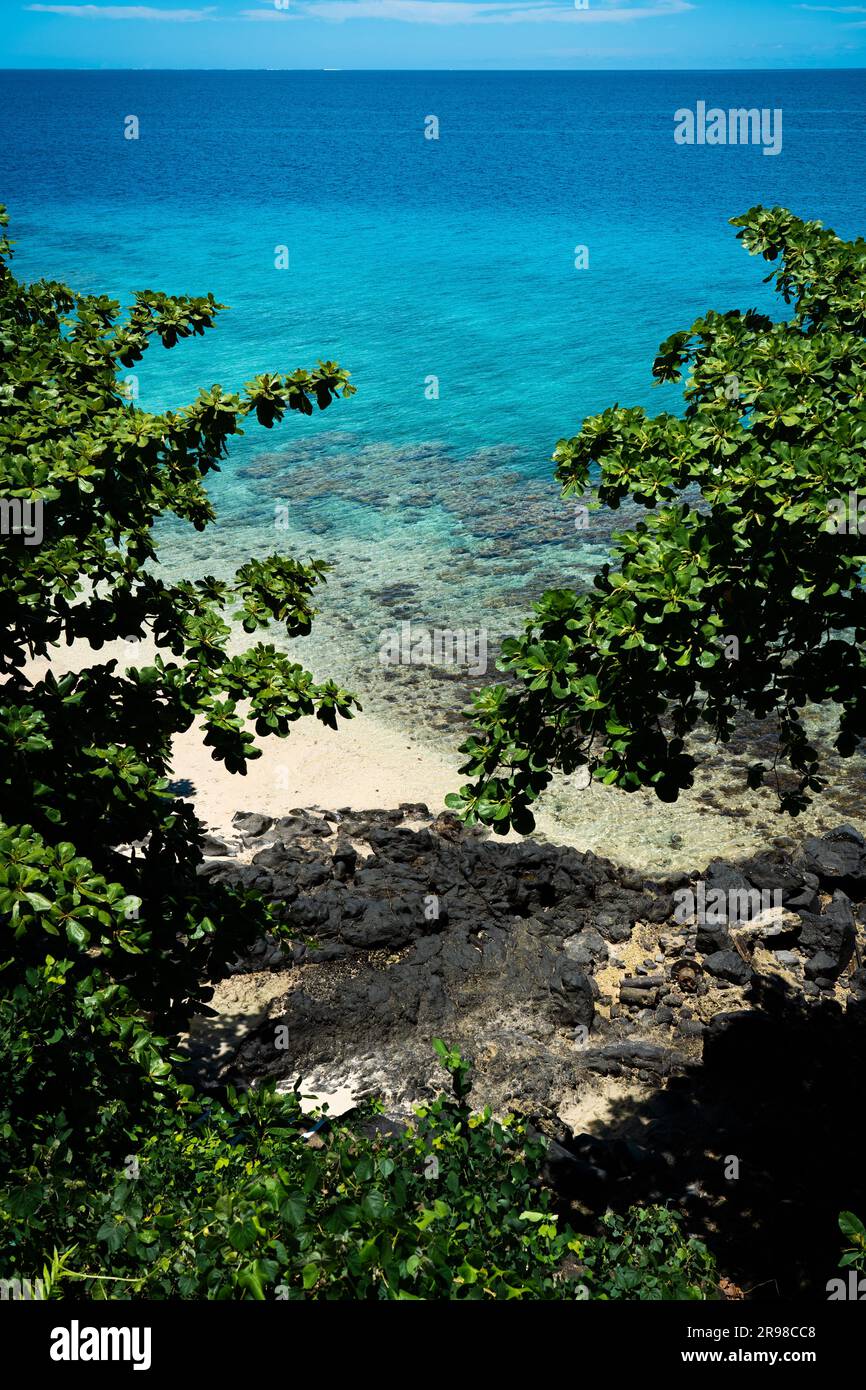 Un paysage de plage tranquille avec des arbustes luxuriants, et de l'eau bleu cristal à Steward Island, Fidji Banque D'Images