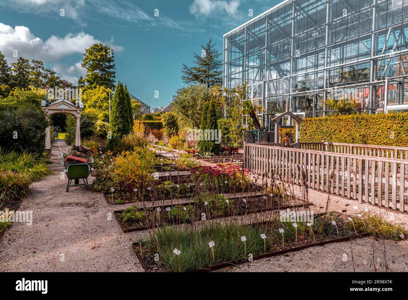 Le bâtiment de l'école de droit de l'Université de Leiden, le jardin horticole. L'école est ouverte depuis 1575. Banque D'Images