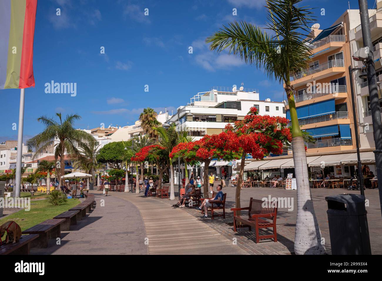 Promenade Los Cristianos Banque D'Images