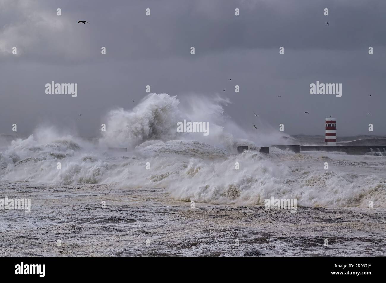 Le nord de la côte portugaise sous forte tempête Banque D'Images