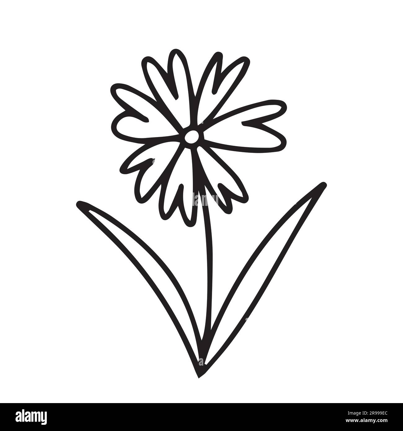 fleur d’été Illustration de Vecteur