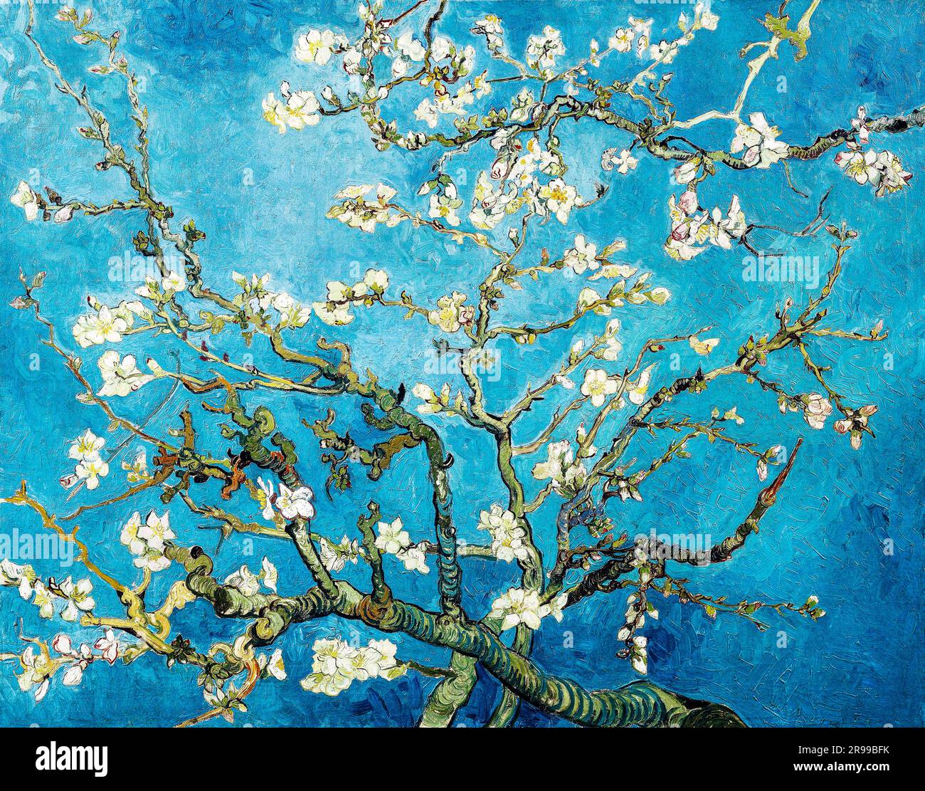 L'amande de Vincent van Gogh fleurira la célèbre peinture. Original de Wikimedia Commons. Banque D'Images