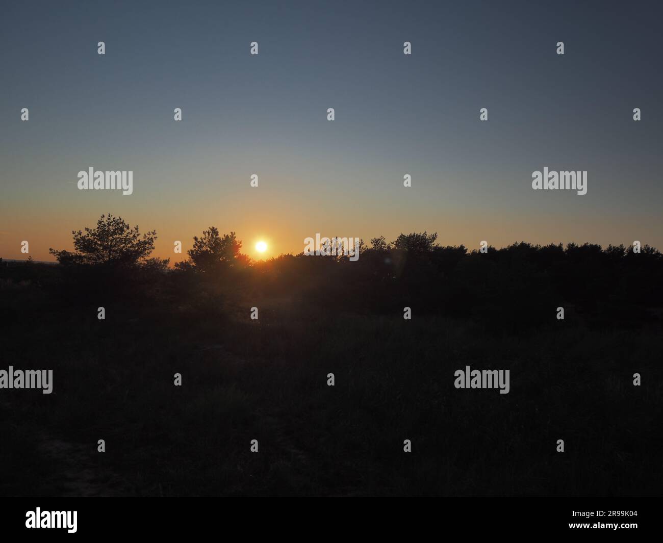 Le soleil quelques minutes avant de tomber en dessous de l'horizon projetant des rayons sur les arbres créant un contraste entre le ciel et la forêt. Banque D'Images