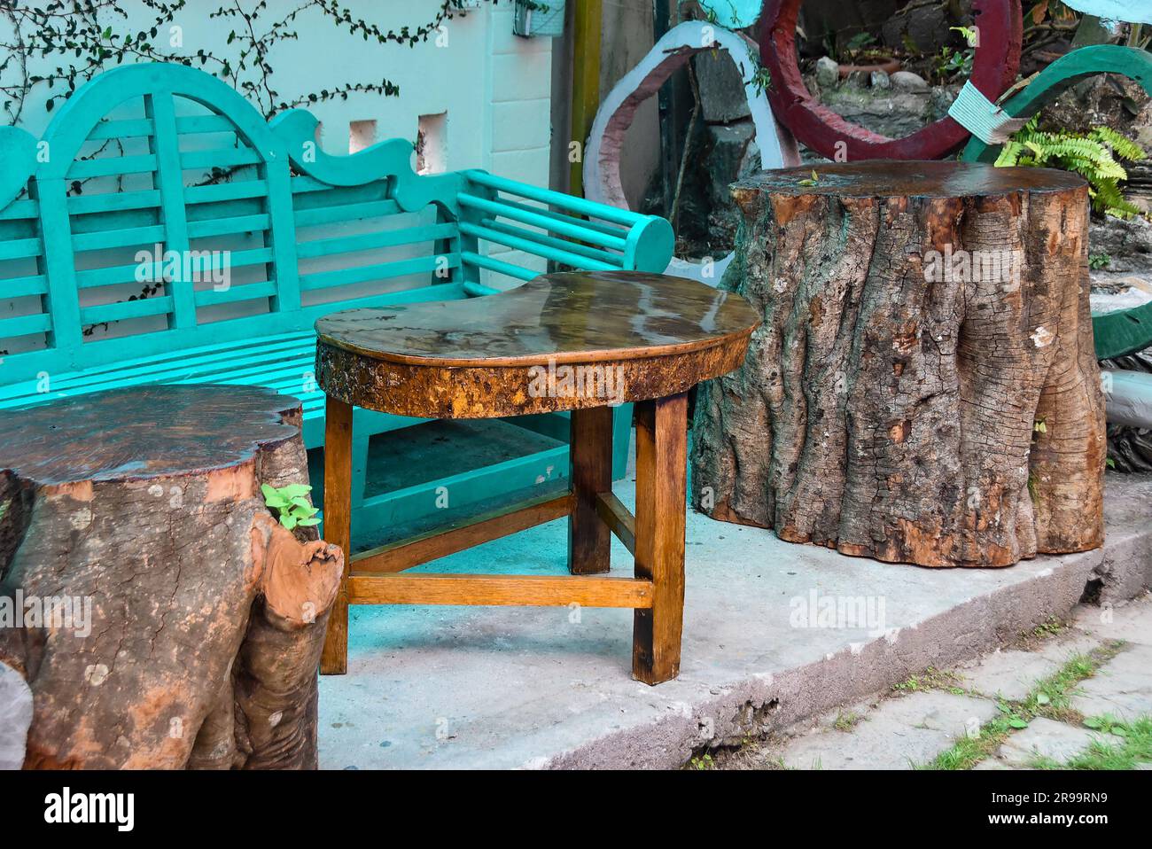 Table de racine en bois massif unique et magnifique Banque D'Images