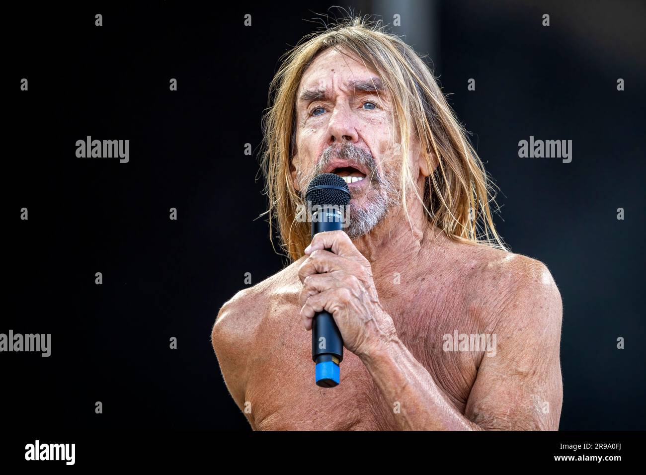 Oslo, Norvège. 24th juin 2023. Le chanteur américain, musicien et légende du rock Iggy Pop interprète un concert en direct pendant le festival de musique norvégien tons of Rock 2023 à Oslo. (Crédit photo : Gonzales photo/Alamy Live News Banque D'Images