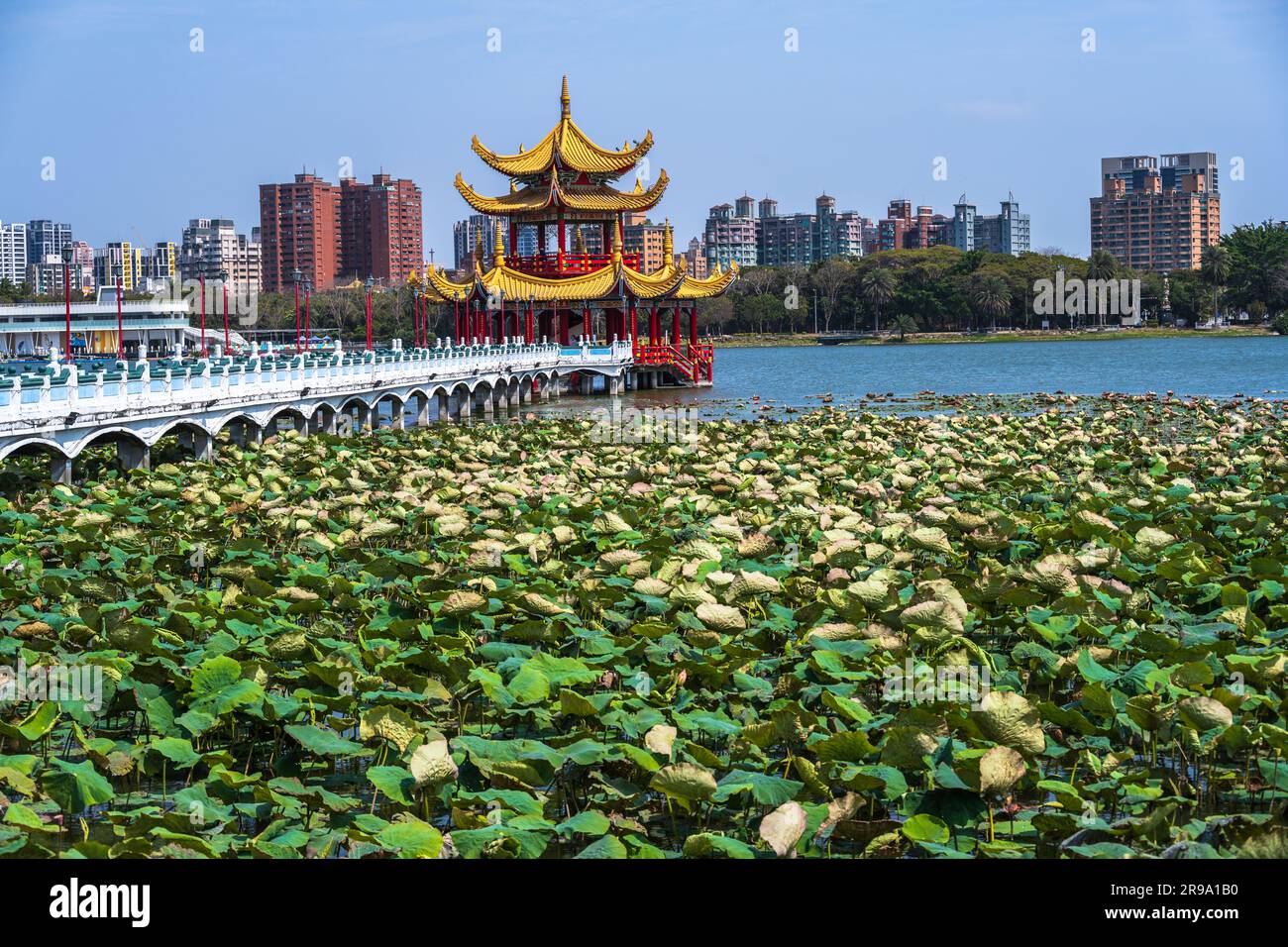 Plantes de Lotus sur le pavillon Wuli, sur l'étang de Lotus à Kaohsiung, Taïwan Banque D'Images
