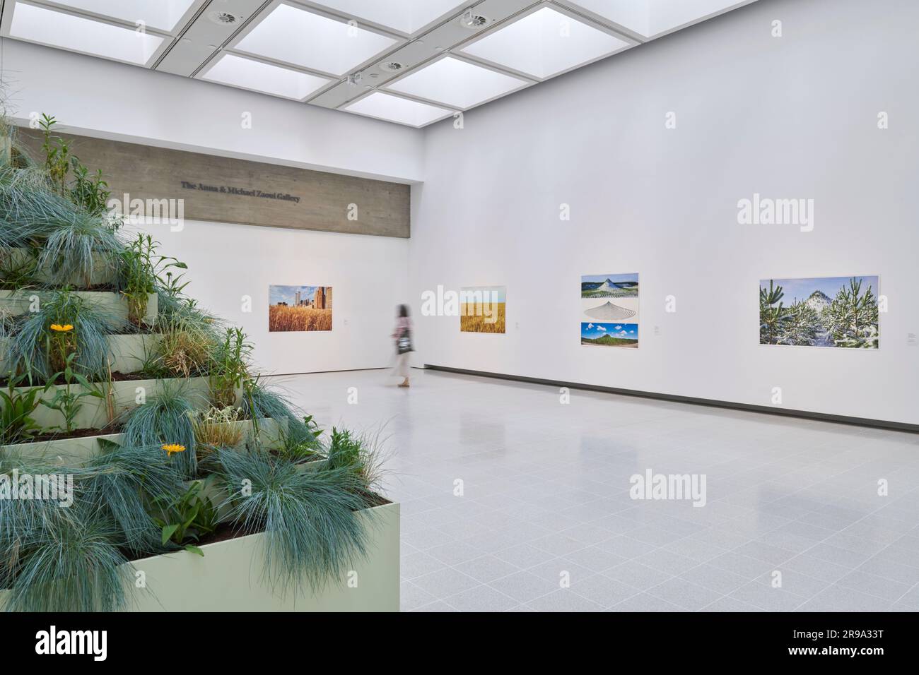 Vue d'installation d'Agnes Denes, cher Terre: Art et espoir en temps de crise Hayward, Galerie, Londres Banque D'Images