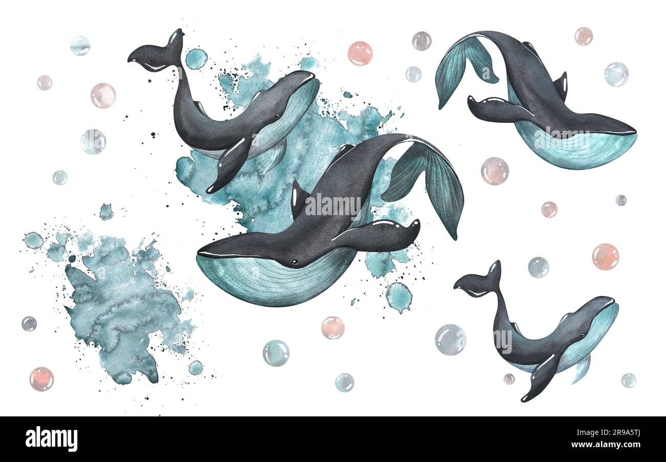 Baleines noires de couleur turquoise sur fond d'éclaboussures de peinture. Illustration aquarelle. Éléments sur fond blanc de la collection Banque D'Images
