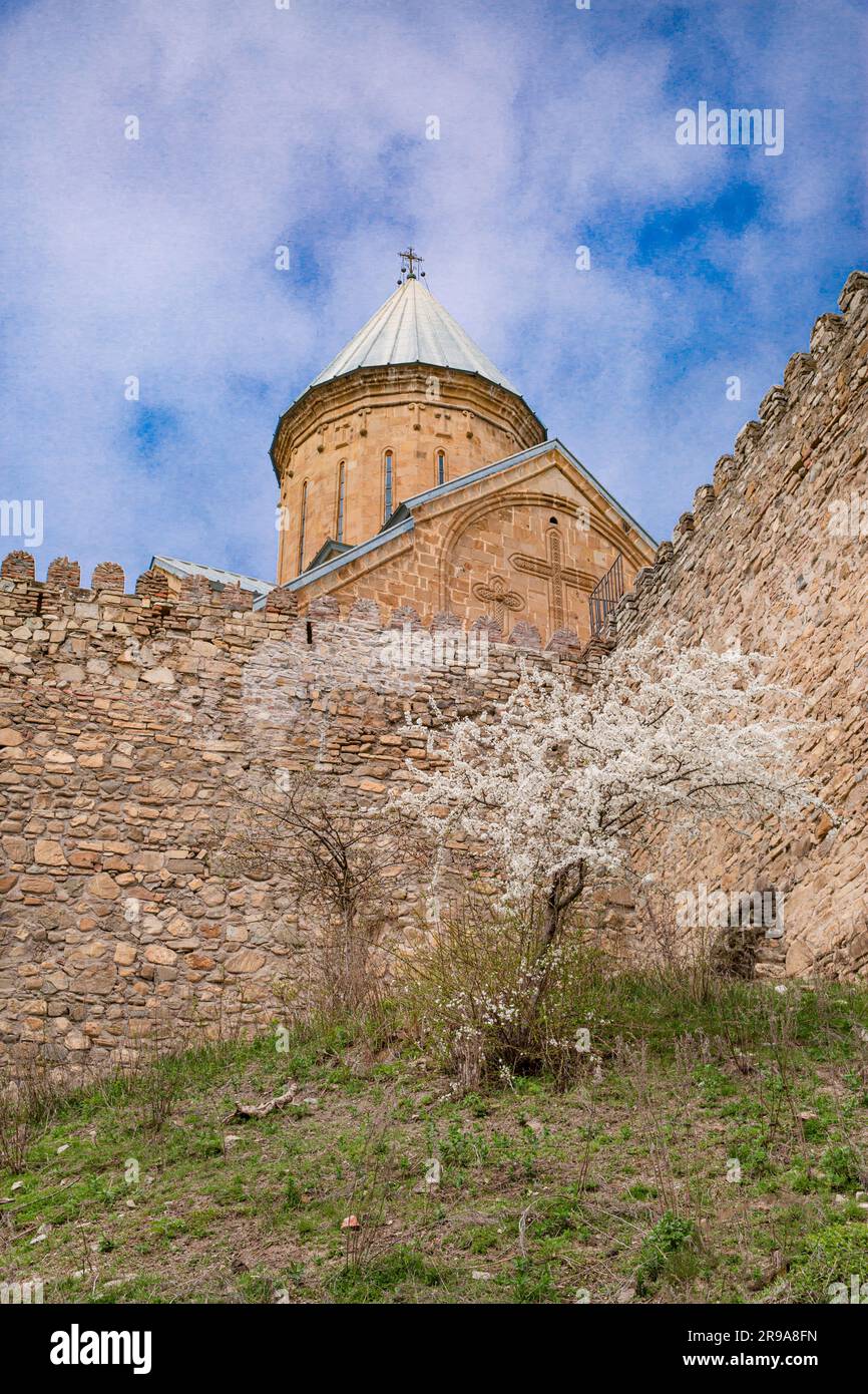 Le complexe de la forteresse d'Ananuri en Géorgie sur la route militaire géorgienne, le ciel bleu de printemps et les arbres en fleurs. Banque D'Images