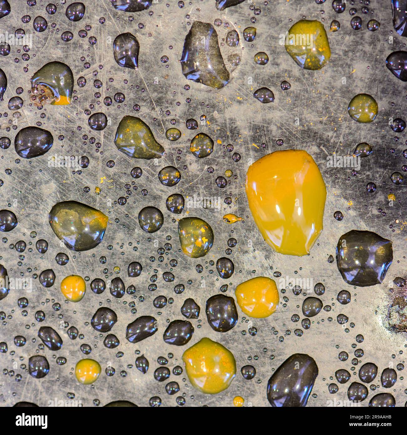 Gouttes d'eau noires et jaunes sur une surface huileuse Banque D'Images