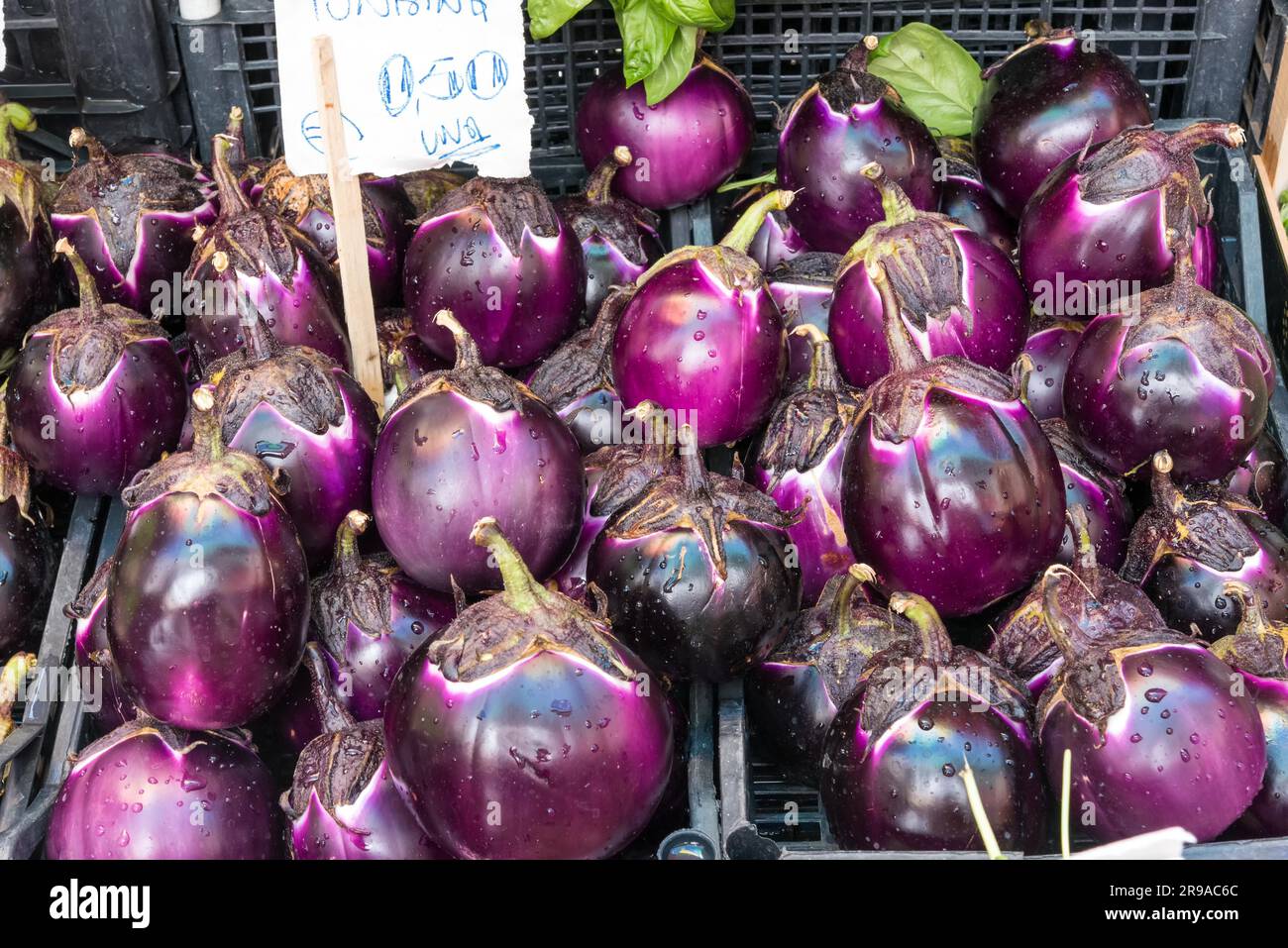 Aubergines à la vente à un marché à Palerme, Sicile Banque D'Images