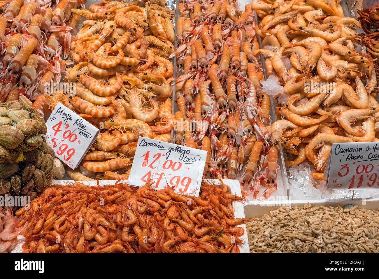 Différents types de crevettes sur un marché de Madrid, Espagne Banque D'Images