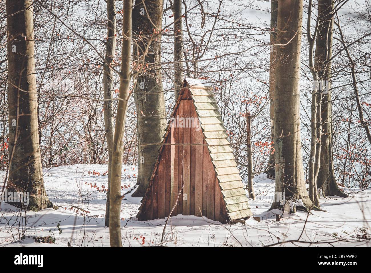 Petit abri dans une forêt avec de la neige sur le sol en hiver Banque D'Images