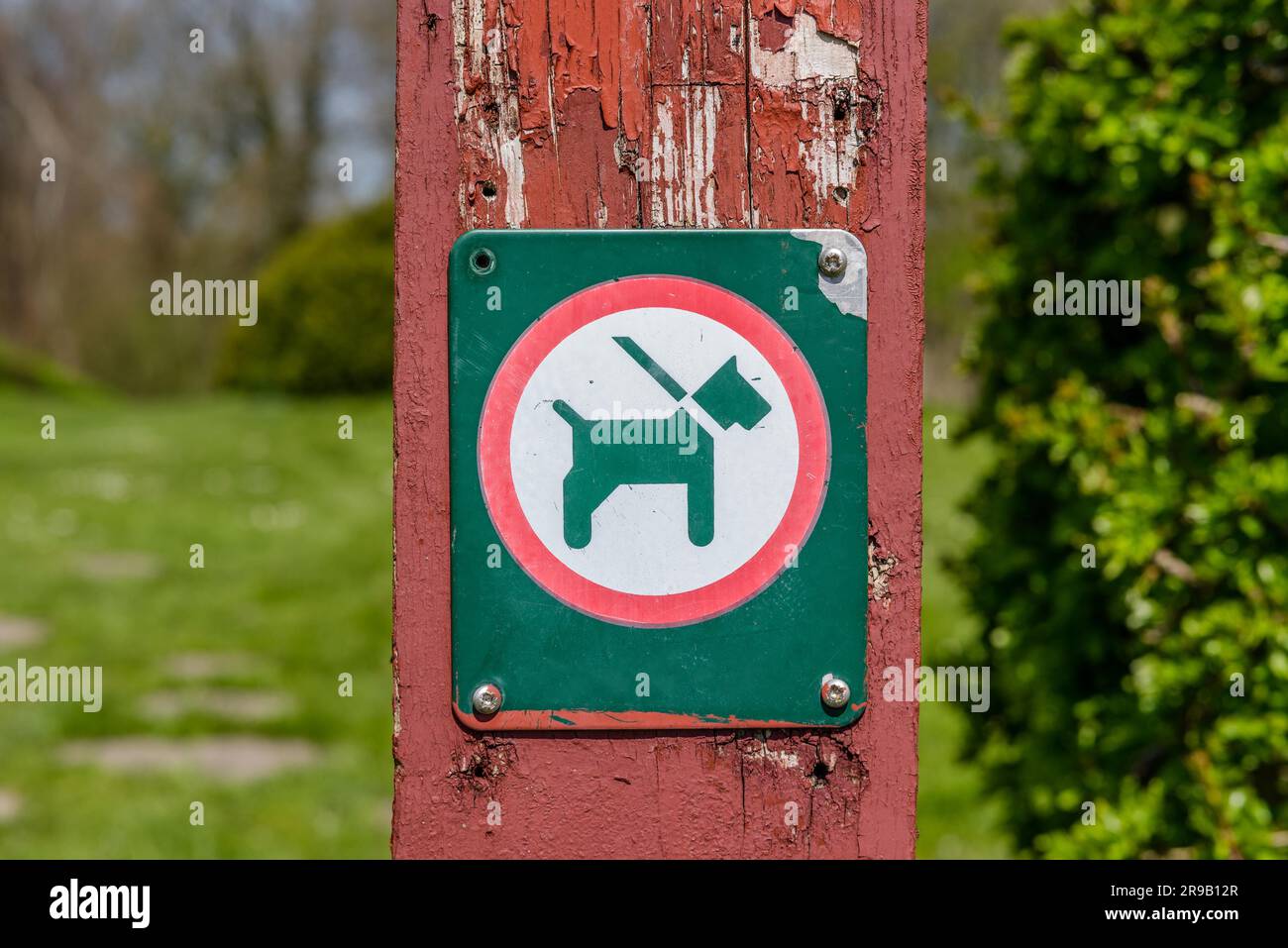 Panneau d'avertissement avec un chien en laisse Banque D'Images