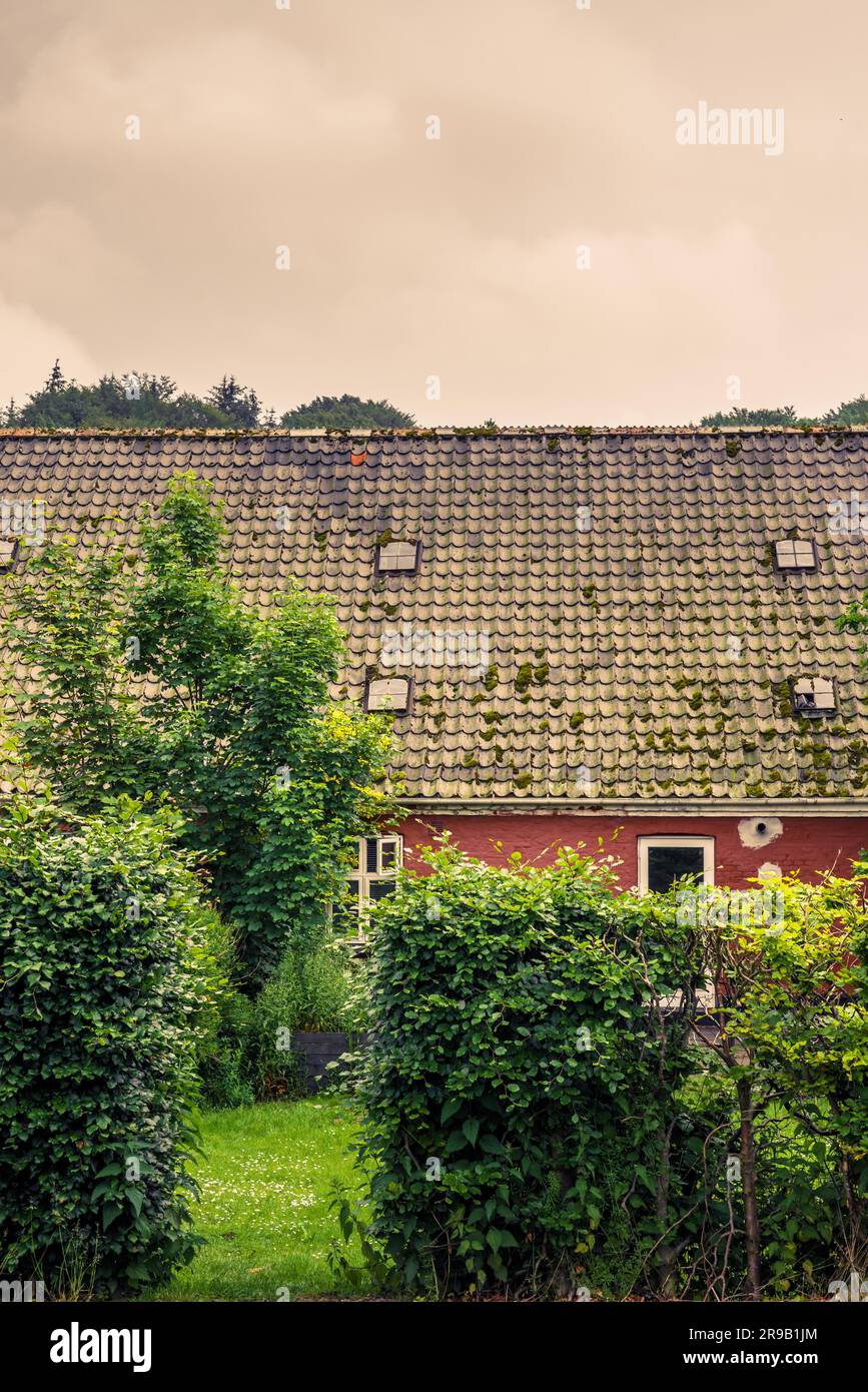 Vieille maison avec une couverture verte Banque D'Images