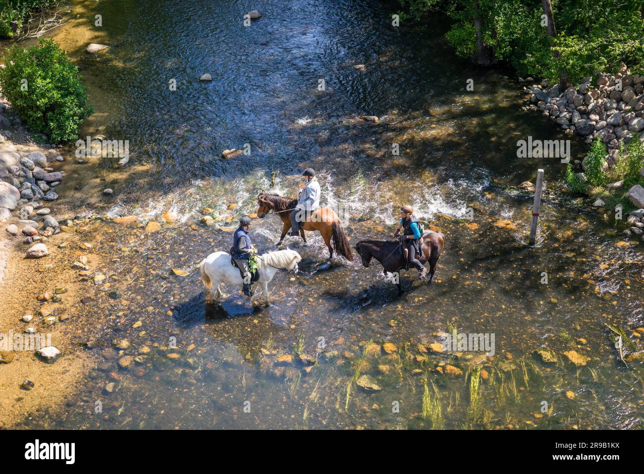 VESTBIRK, DANEMARK, 16 JUILLET 2015 : des cavaliers tentent de traverser la rivière au pont redécouvert de Vestbirk Banque D'Images