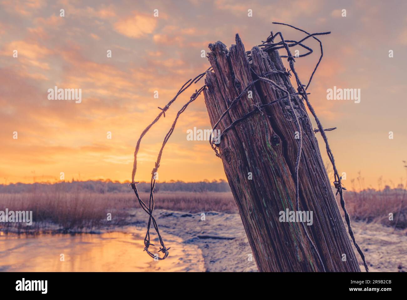 Poteau de clôture en bois avec Barb Wire dans le lever du soleil d'hiver Banque D'Images