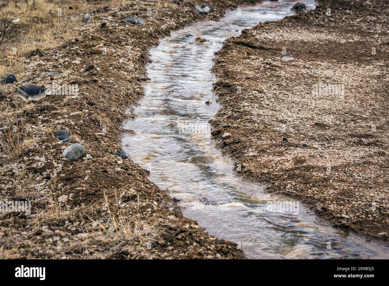 Petit ruisseau avec des cailloux dans la nature islandaise Banque D'Images