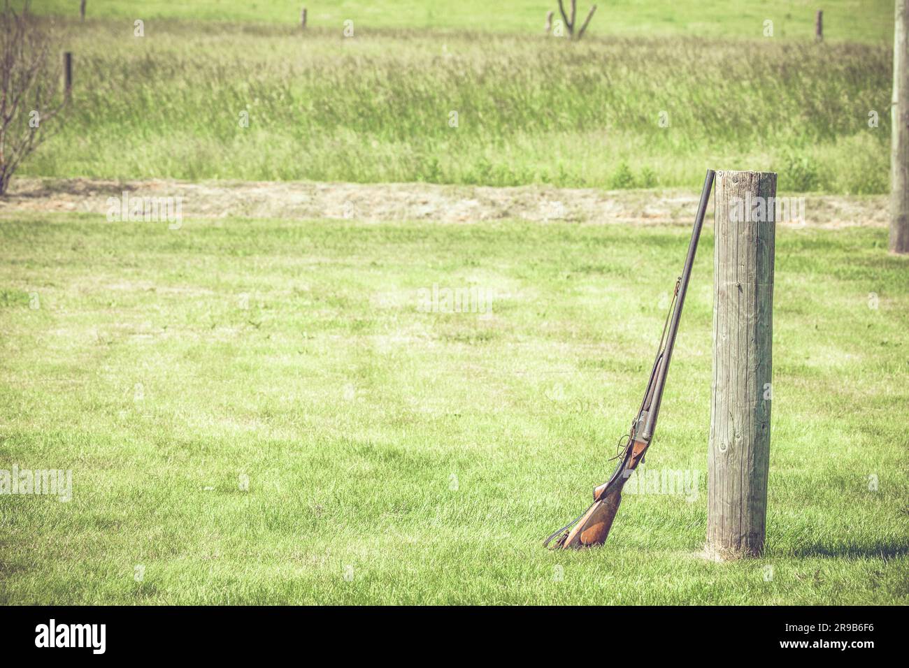 Rifle contre un journal en bois à un stand de tir en plein air Banque D'Images
