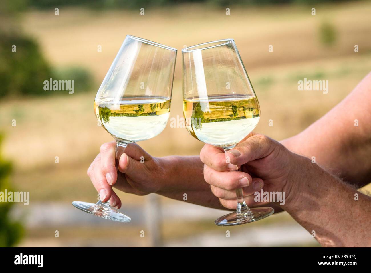 Verres à vin avec des reflets de la belle nature en disant des acclamations avec du vin blanc Banque D'Images