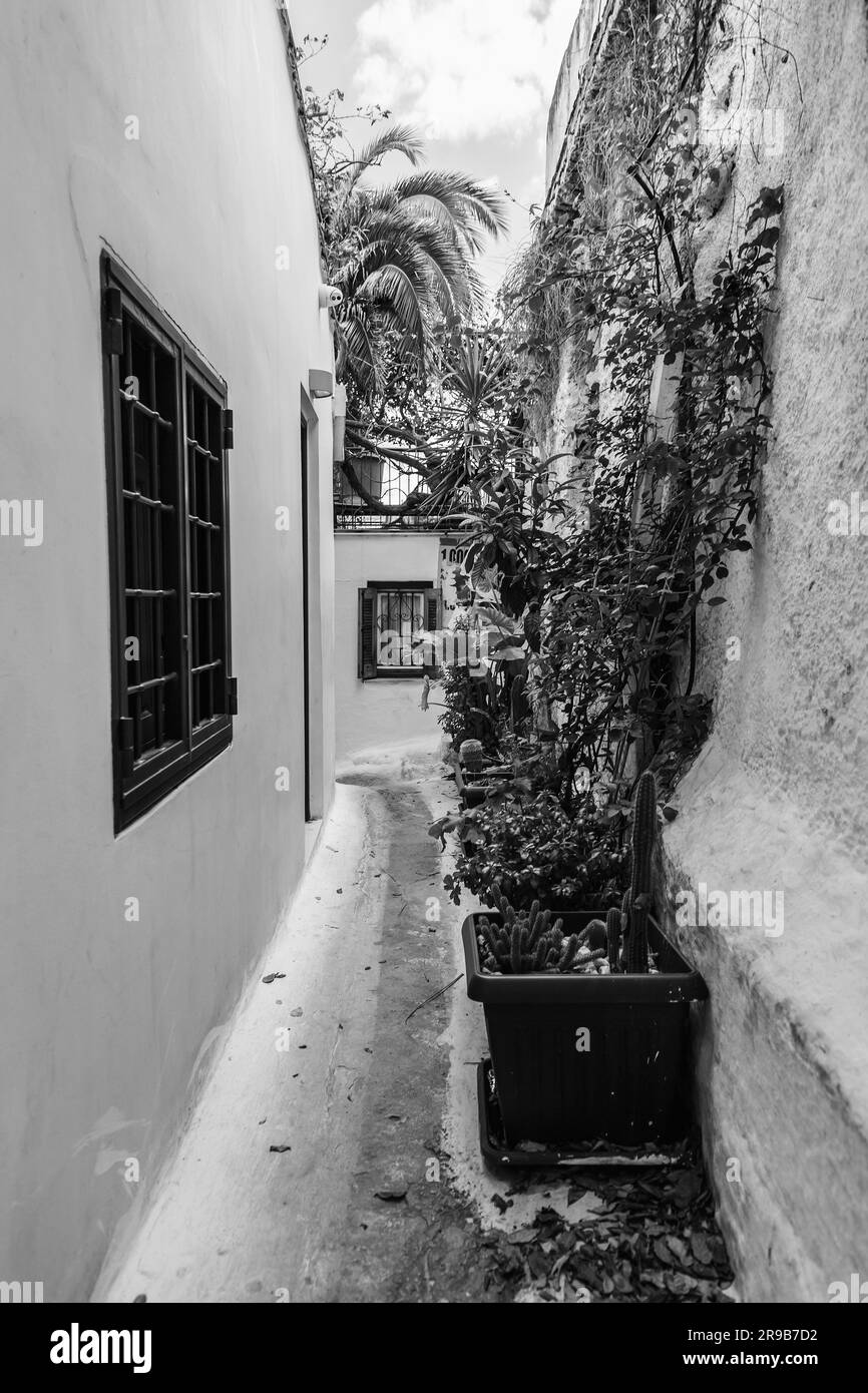 Anafiotika est un petit quartier pittoresque d'Athènes, qui fait partie du vieux quartier historique appelé Plaka. Banque D'Images