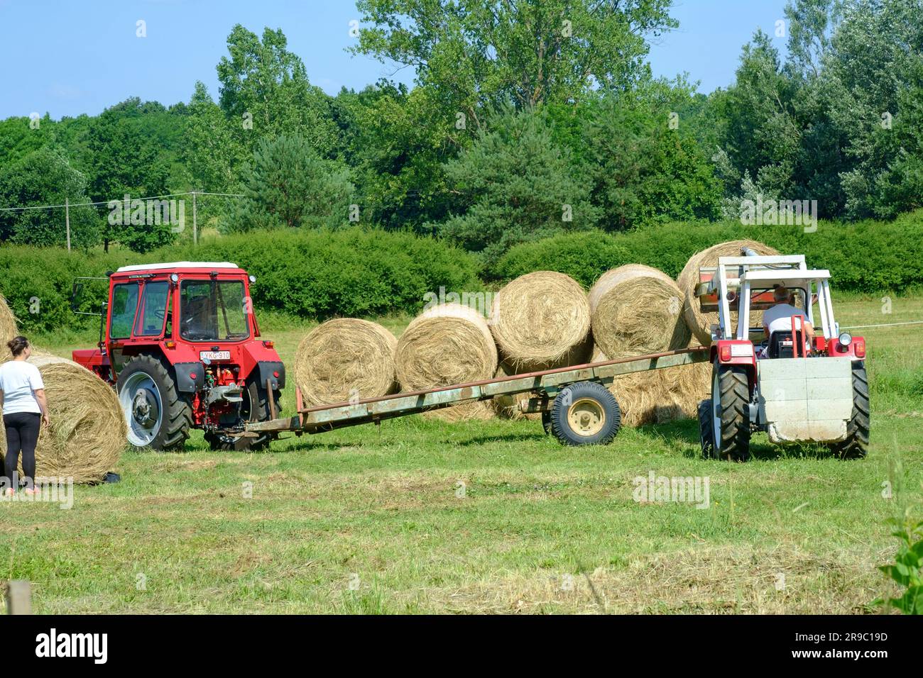 tracteur steyr 650 utilisé pour empiler des balles rondes de foin déchargées de la remorque après la récolte du comté de zala en hongrie Banque D'Images