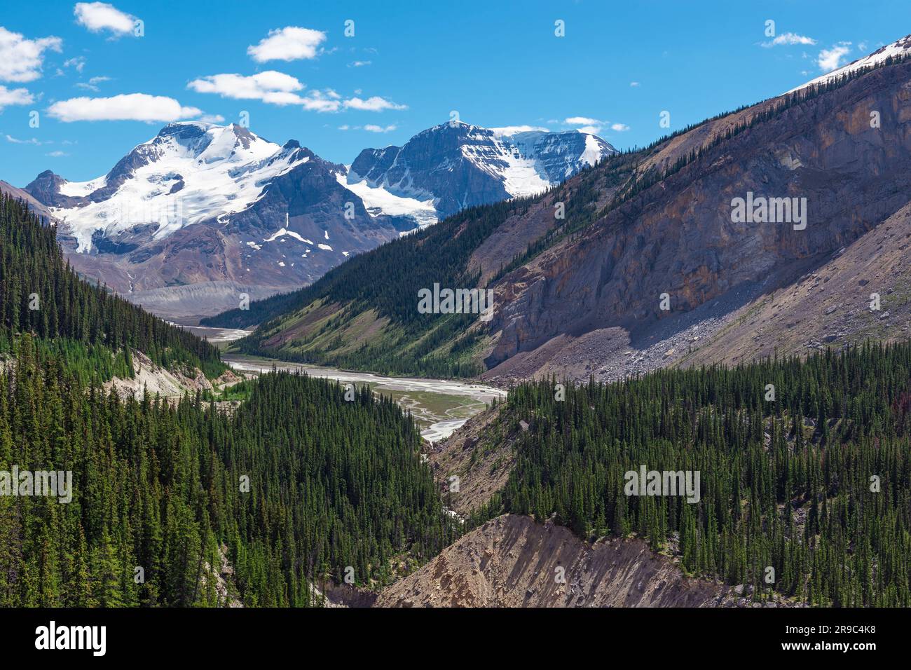 Columbia Icefield Skywalk paysage au-dessus de la forêt de pins, rivière Athabasca et montagnes Rocheuses, parc national Banff, Canada. Banque D'Images