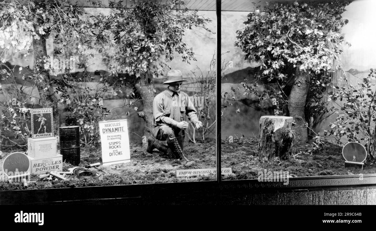 Sacramento, Californie: c. 1928 Une vitrine pour Hercules Dynamite à la compagnie de matériel Emigh-Winchell. Banque D'Images